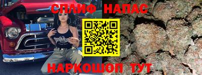 скорость Дубна
