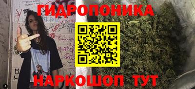 скорость Дубна