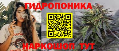 скорость Дубна