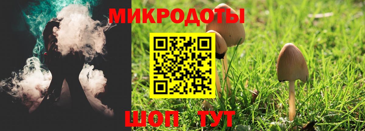 Галлюциногенные грибы мухоморы Чернушка