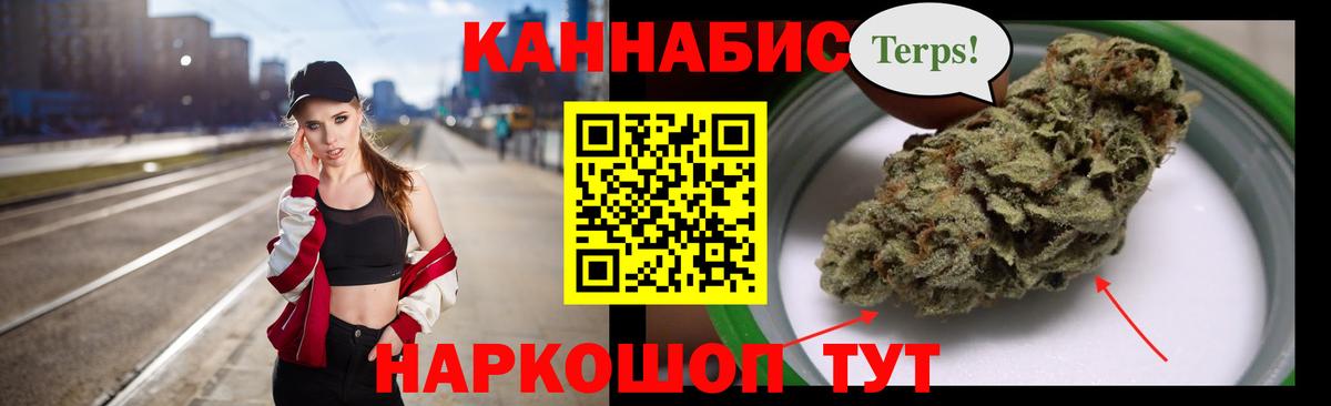 Бошки марихуана тримм  Марихуана планчик  МАРИХУАНА сатива  Вход с VPN  Марихуана White Widow  Чернушка 